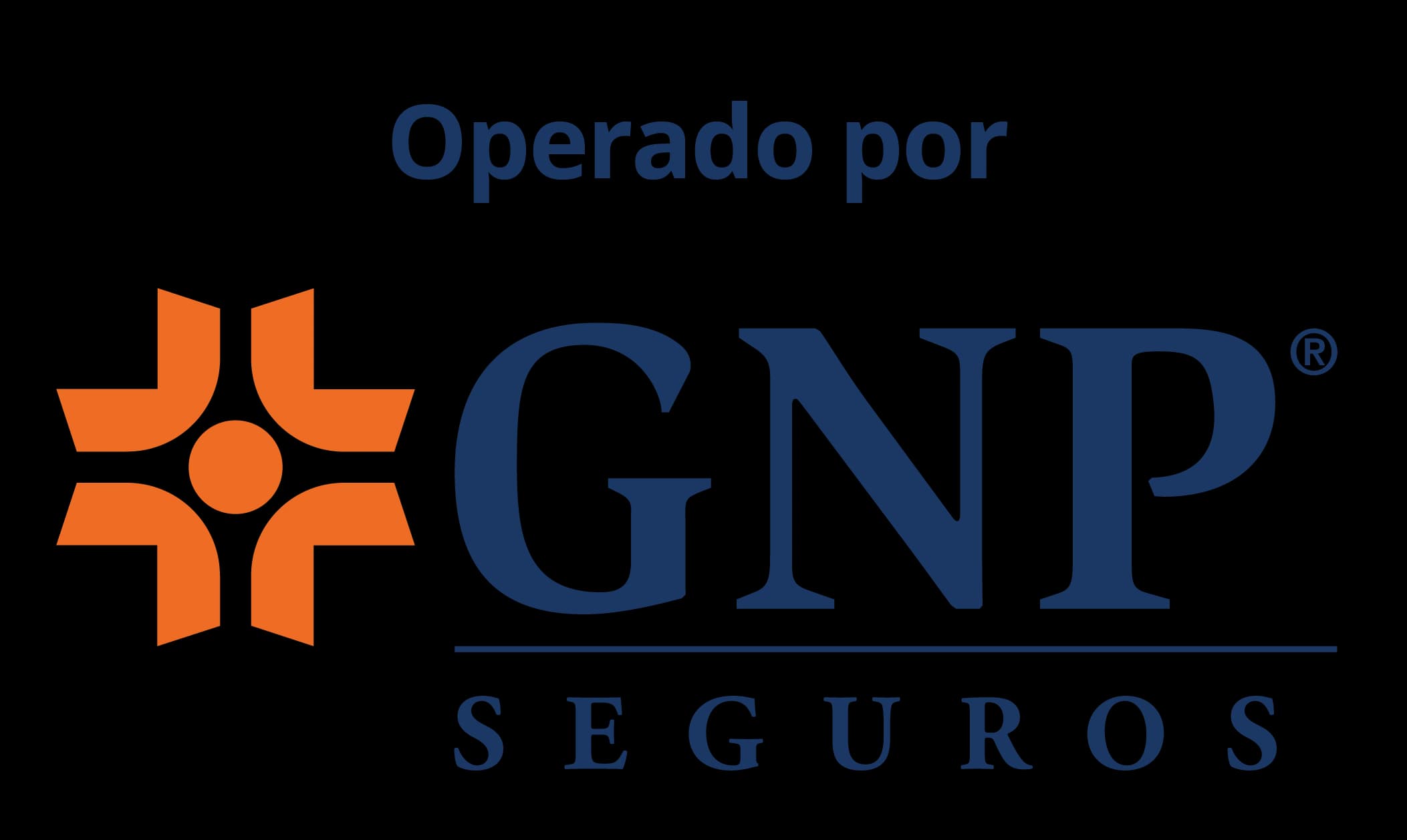 GNP Seguros