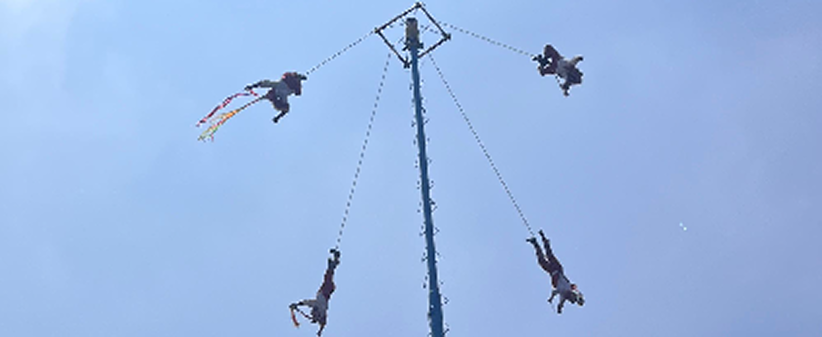 Opción 4